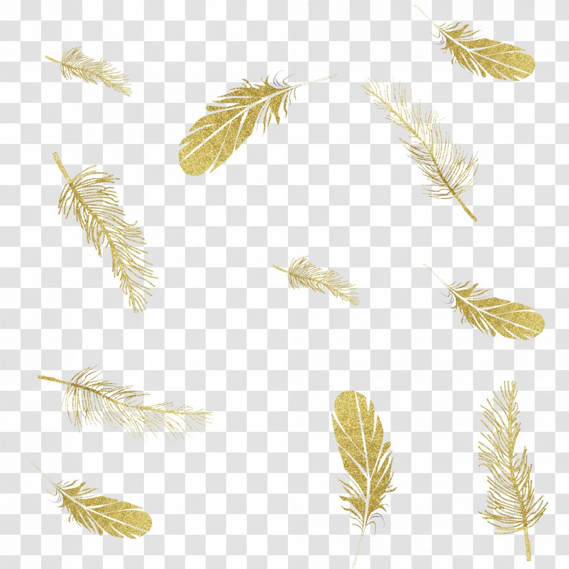 Feather Image Ink Download - Sticker Transparent PNG