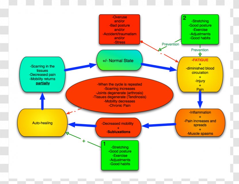 Material Brand Diagram - Design Transparent PNG