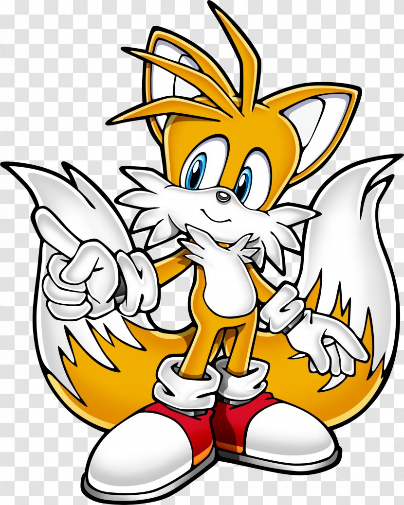 Sonic The Hedgehog Forces Chaos Tails Wikia - Flower - Broken Glass Transparent PNG