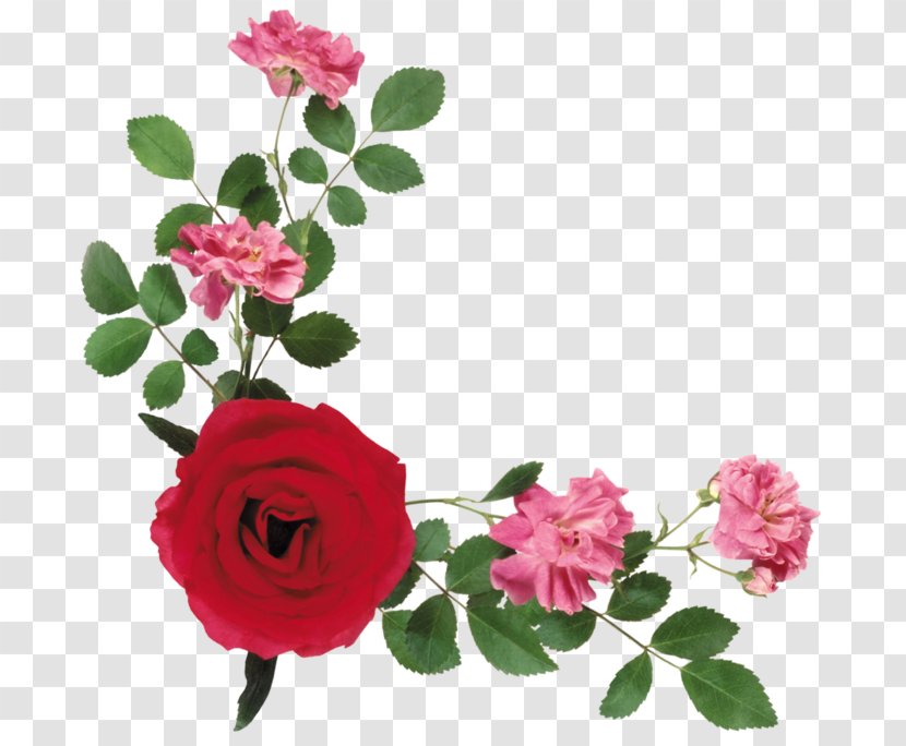 Clip Art Flower Psd Floral Design - Rose - Announcement Borders Corner Transparent PNG