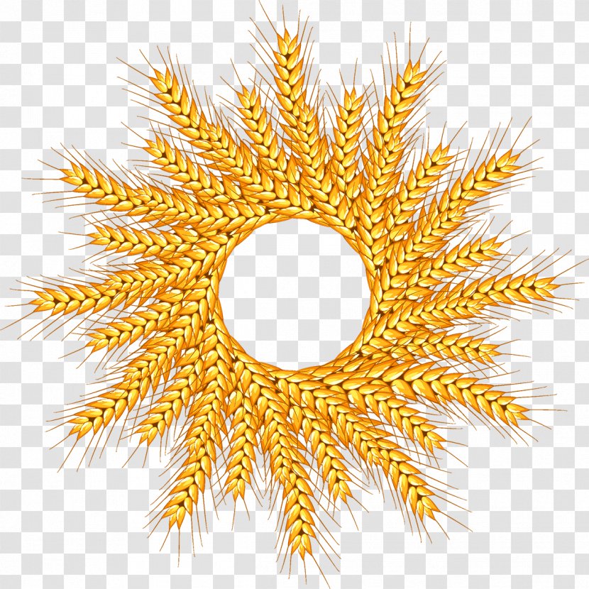 Wheat Logo Transparent PNG