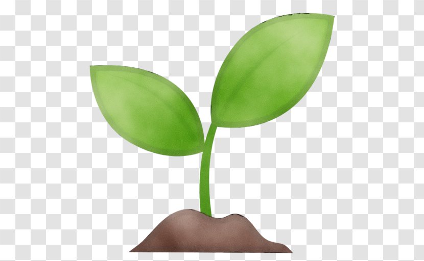 Green Leaf Logo - Flower - Plant Stem Transparent PNG