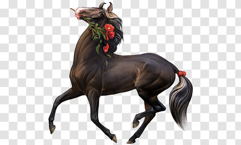 Marwari Horse Stallion Howrse Art Drawing - Tack Transparent PNG