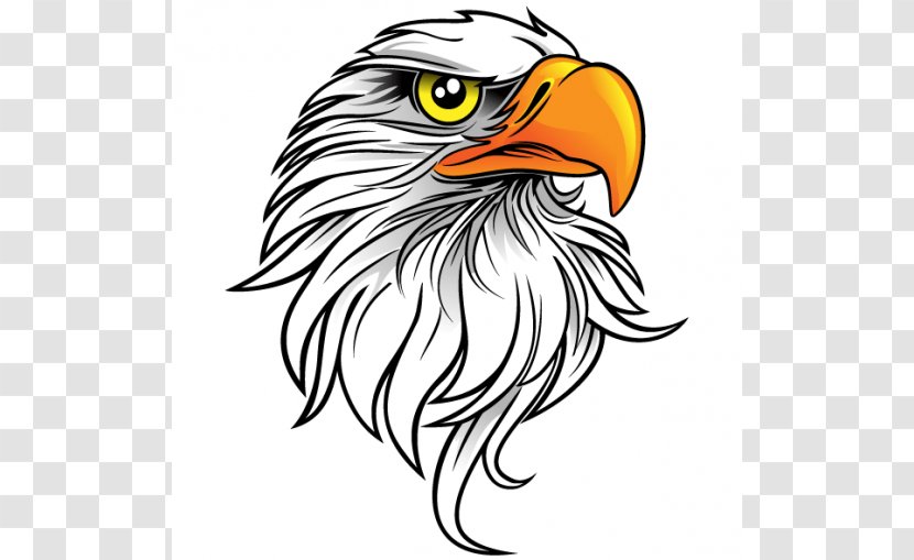 Eagle Euclidean Vector Clip Art - Bird - Free Graphic Pictures Transparent PNG