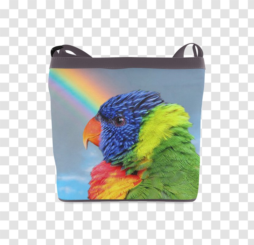 Parrot Budgerigar Cockatiel Loriini Rainbow Lorikeet Transparent PNG