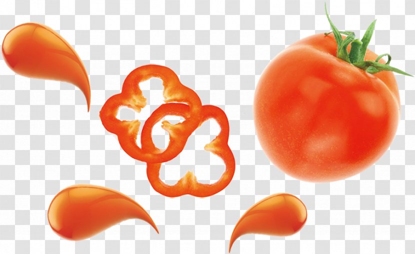 Plum Tomato Vegetable Food Eating - Tomatoes Transparent PNG
