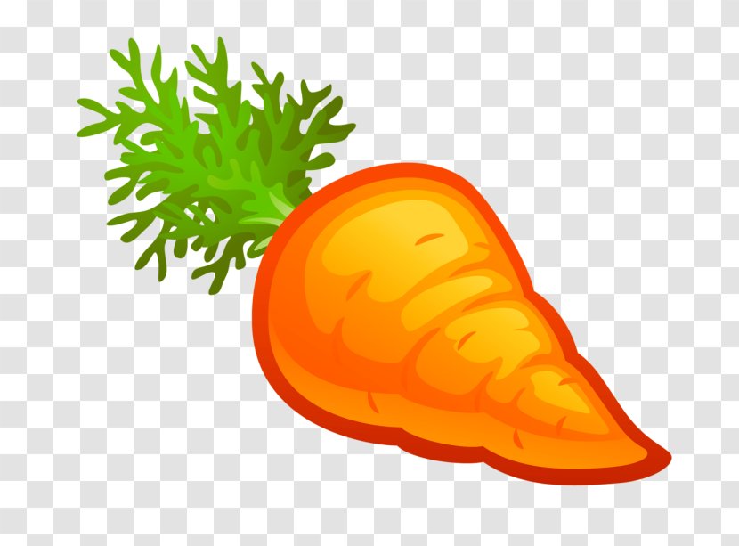 Carrot Vegetable Orange S.A. Fruit Tangerine Transparent PNG