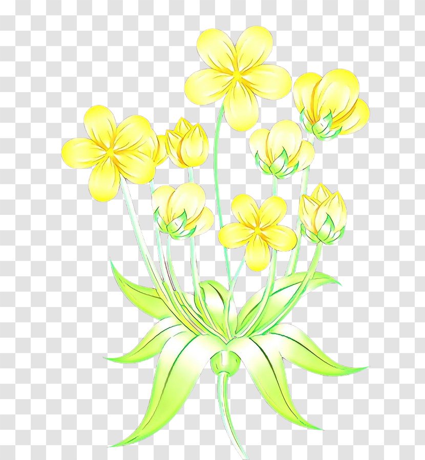 Flower Yellow Clip Art Plant Petal - Pedicel Wildflower Transparent PNG