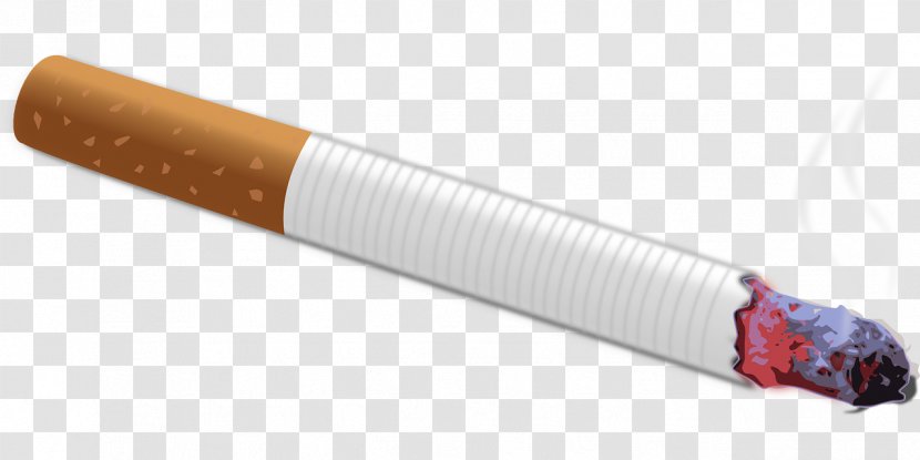 Tobacco Smoking Cigarette - Filter - Cigarettes Transparent PNG