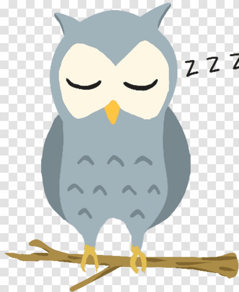 Tawny Owl T-shirt Bird Hoodie - Ural Transparent PNG