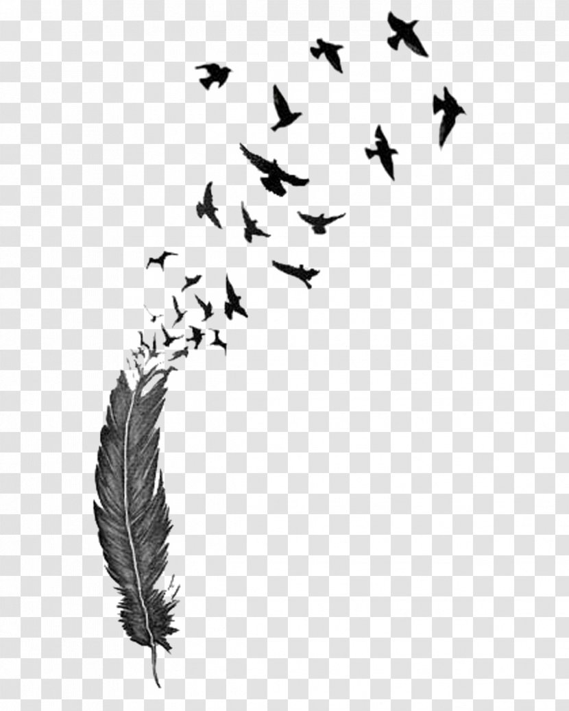 Bird Feather Tattoo Drawing Clip Art Transparent PNG