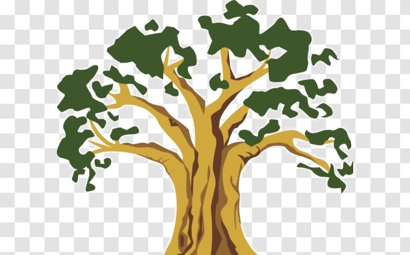 The Tree Book: For Kids And Their Grown-ups Banyan Wood Illustration - Holdings - Green Transparent PNG
