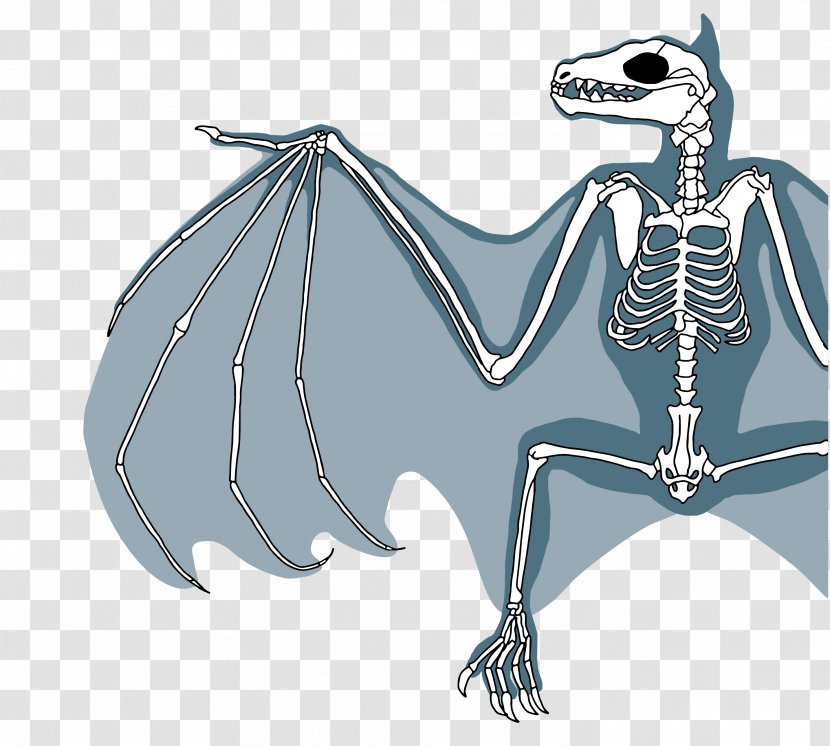 Bat Grey-headed Flying Fox Rodrigues Little Red Skeleton Transparent PNG