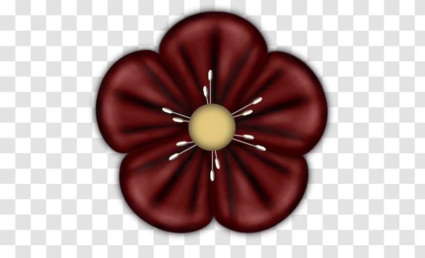 Petal Red - Drawing - Five Peach Transparent PNG