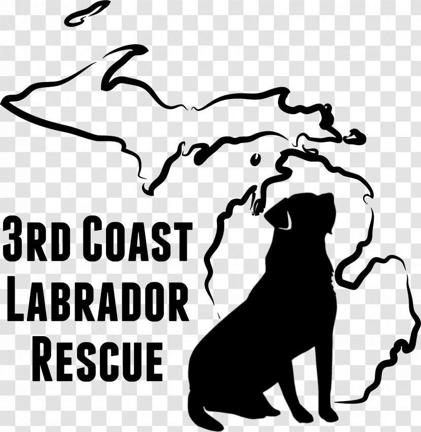 Labrador Retriever Mecosta-Osceola Transit Auth Information Clip Art Transparent PNG