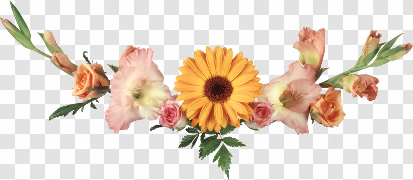 Flower Border Flower Background Floral Line Transparent PNG