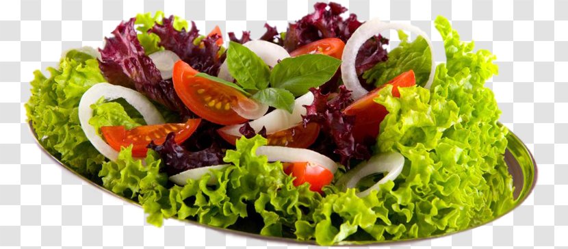 Pasta Salad Vegetarian Cuisine Israeli Fruit Caesar - Bowl - Fresh Transparent PNG