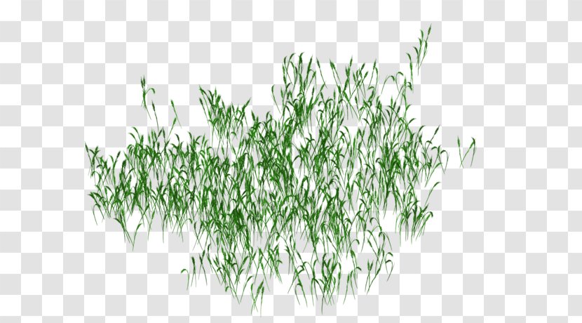 Green Transparency And Translucency - Grass Transparent PNG