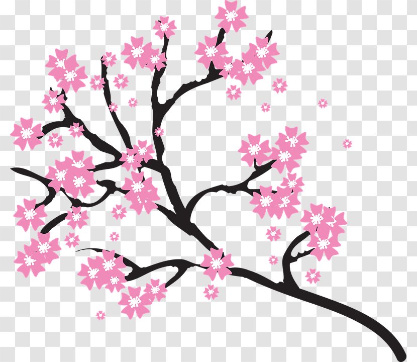 Cherry Blossom Drawing Clip Art - Flower Transparent PNG