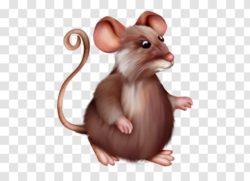 Laboratory Rat Mus Rodent Mickey Mouse Transparent PNG