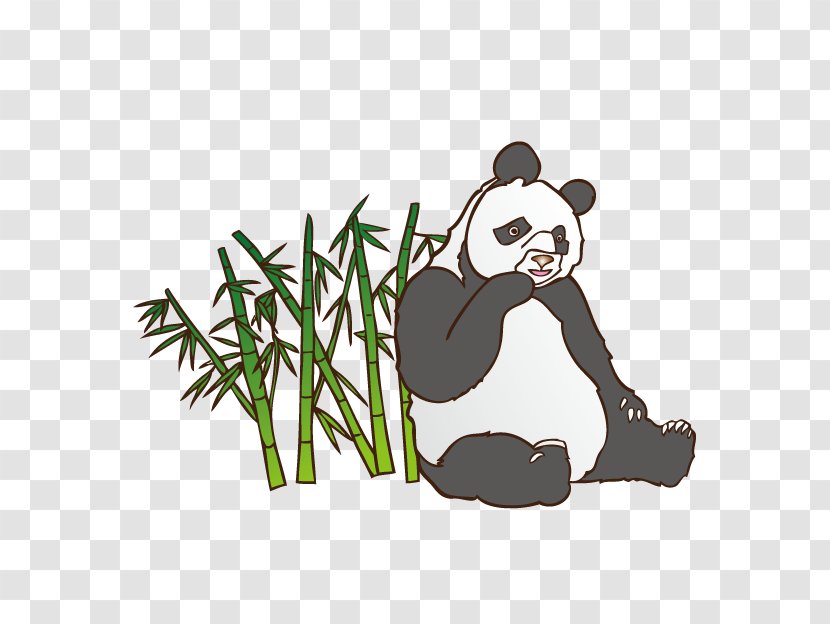 Giant Panda Image Music Download Vector Graphics - Carnivoran - Cartoon Transparent PNG