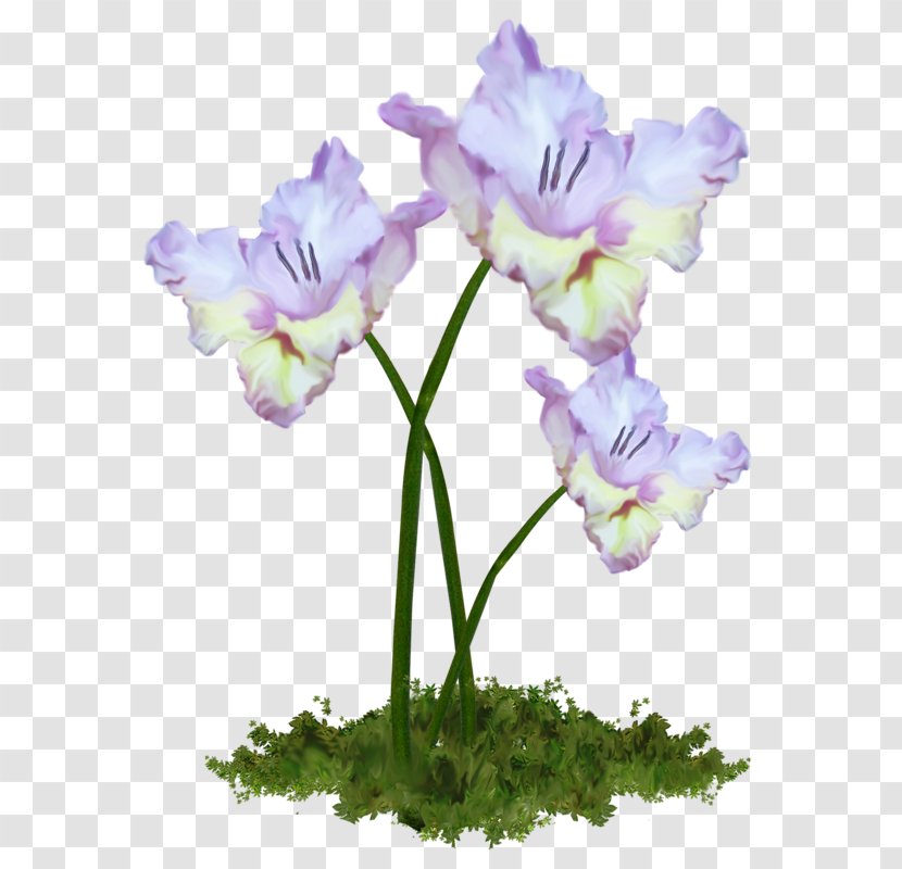 Cut Flowers Flower Bouquet Tulip Clip Art Transparent PNG