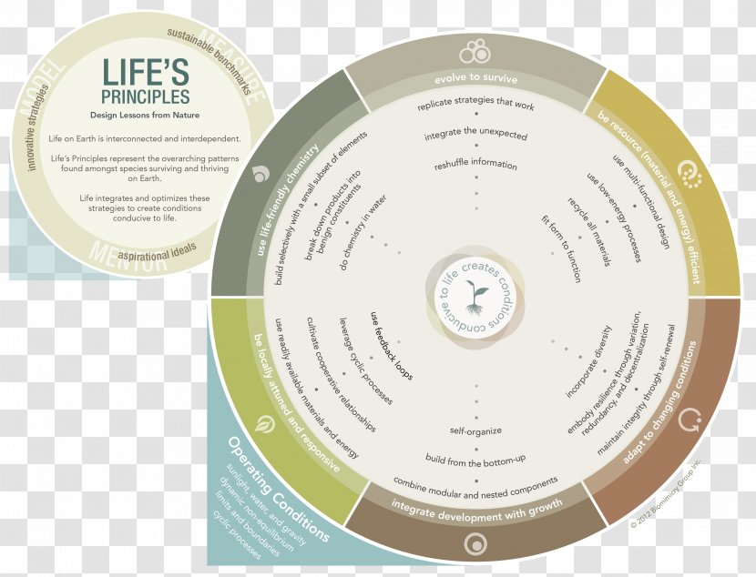 Biomimetics Life Biology Bionics Nature - Principle - Earth Transparent PNG