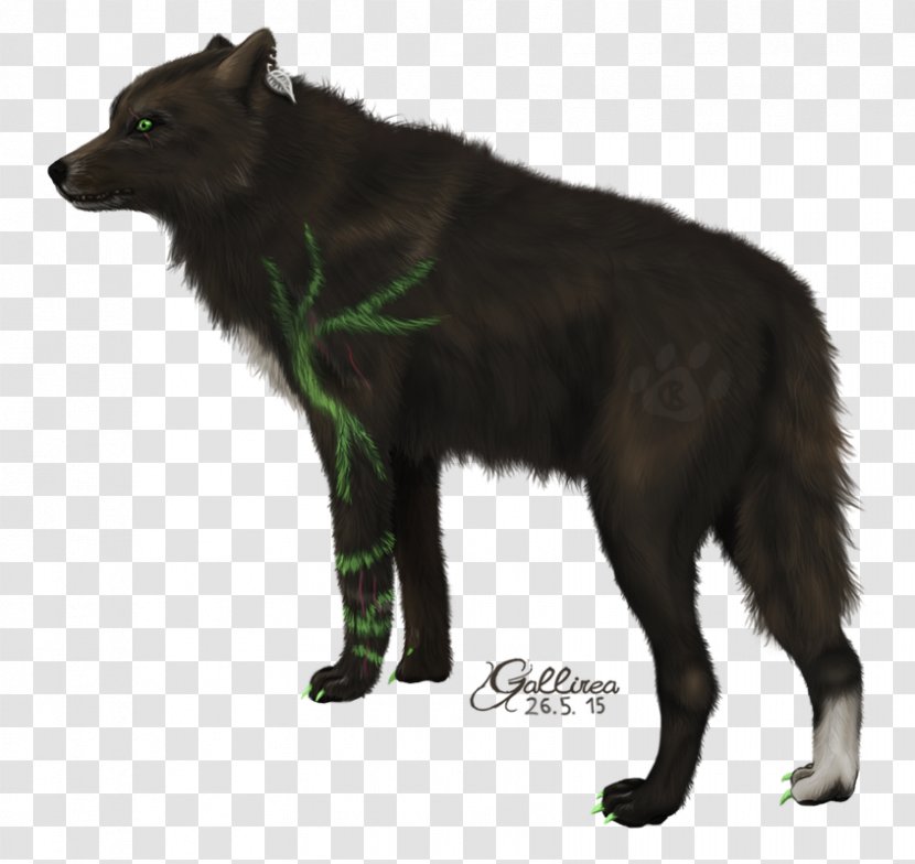 Fur Wildlife Terrestrial Animal - Fauna - Mu Reoh Ji Anh Ni Transparent PNG