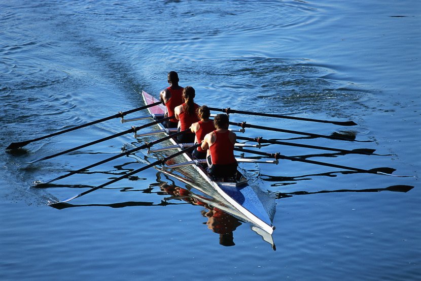 Virtual Team Business Organization Marketing - Coxswain - Rowing Transparent PNG