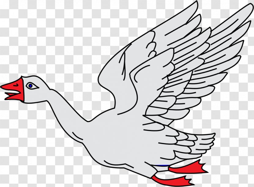 Snow Goose Bird Duck Cygnini - Ross S Transparent PNG