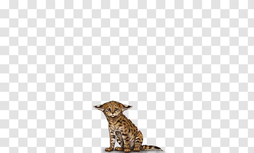 Big Cat Cheetah Terrestrial Animal Tail - Wildlife Transparent PNG