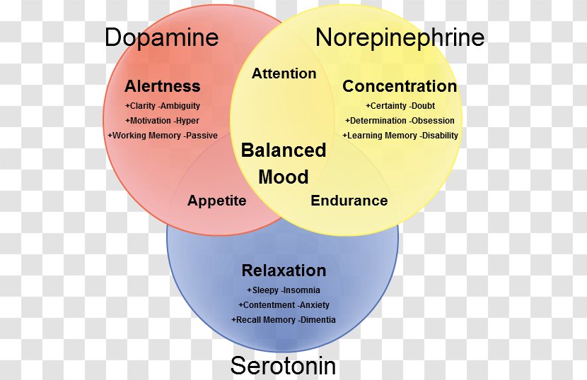 Serotonin–norepinephrine–dopamine Reuptake Inhibitor Neurotransmitter - Serotonin - Pulsklocka Transparent PNG