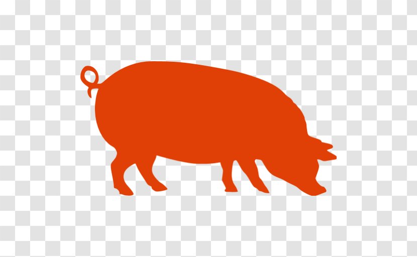 Pig Roast Pork Chicken - Mammal Transparent PNG