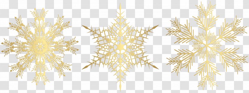 Clip Art Image Snowflake - Plant Transparent PNG