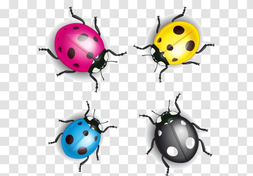 Coccinella Septempunctata Cartoon Ladybird Illustration - Invertebrate - Four-color Insects Transparent PNG