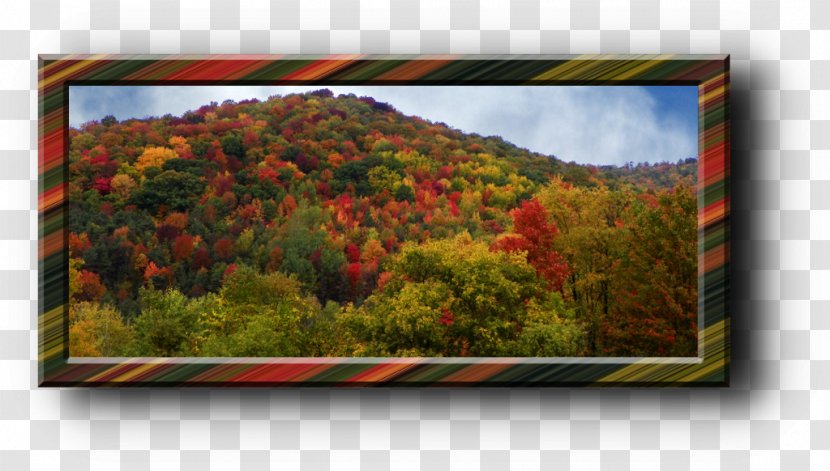 Painting Landscape Picture Frames Flower - Autumn Transparent PNG