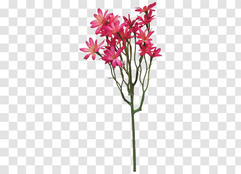 Cut Flowers Floral Design Flowerpot Plant Stem - Tree - Flower Transparent PNG
