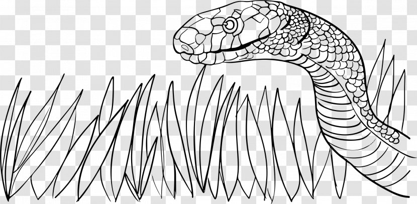 Mongoose Snake Vipers Cobra Clip Art - Head Transparent PNG