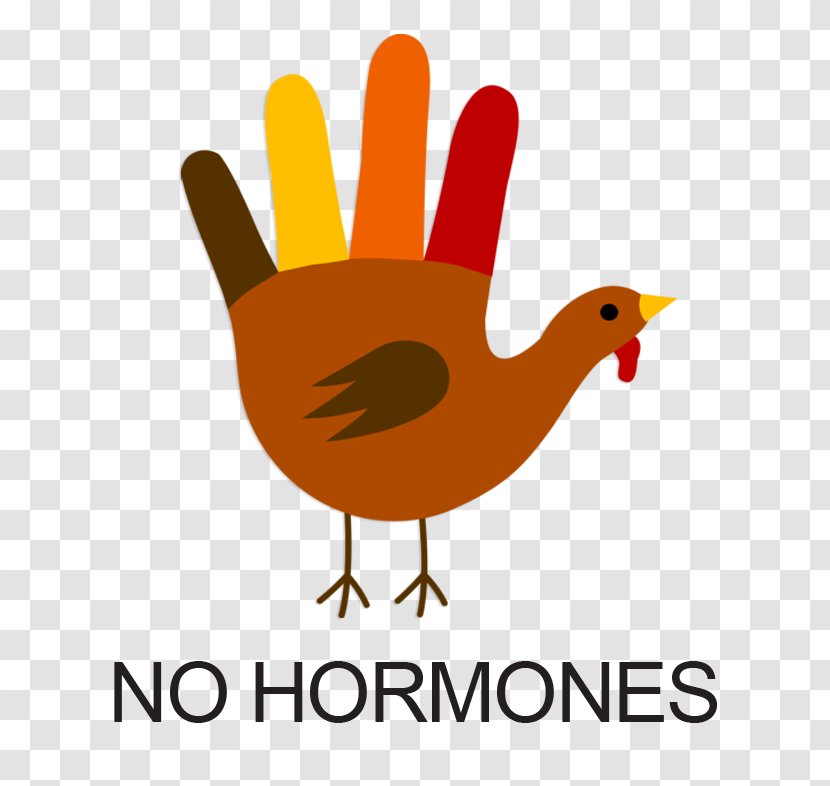 Turkey Meat Drawing Hand Clip Art - No Hormones Cliparts Transparent PNG