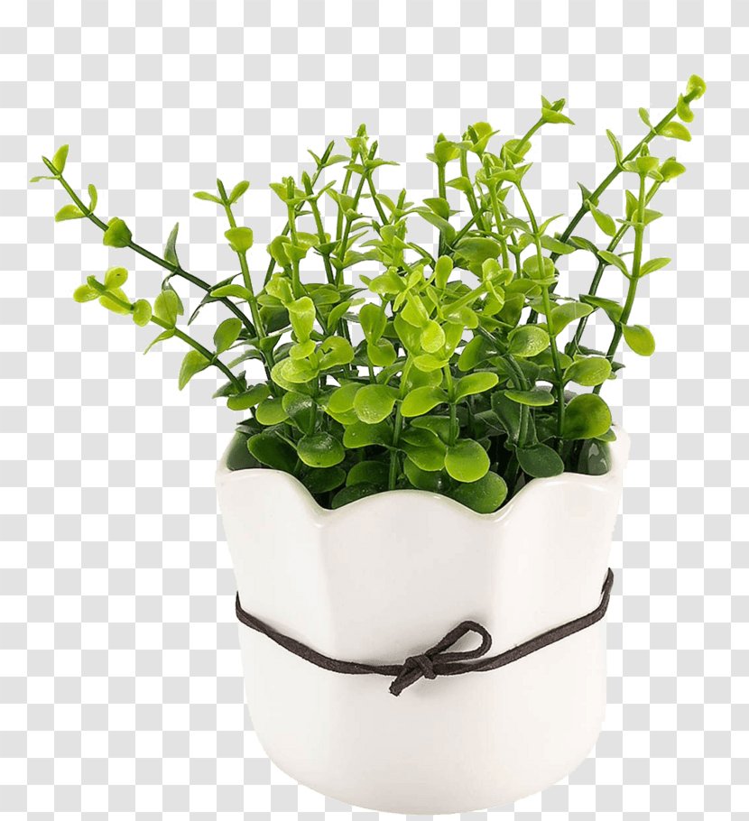 Flowerpot Magnetic Levitating Floating Plant Pot Hook Garden Plants - Moisture Transparent PNG
