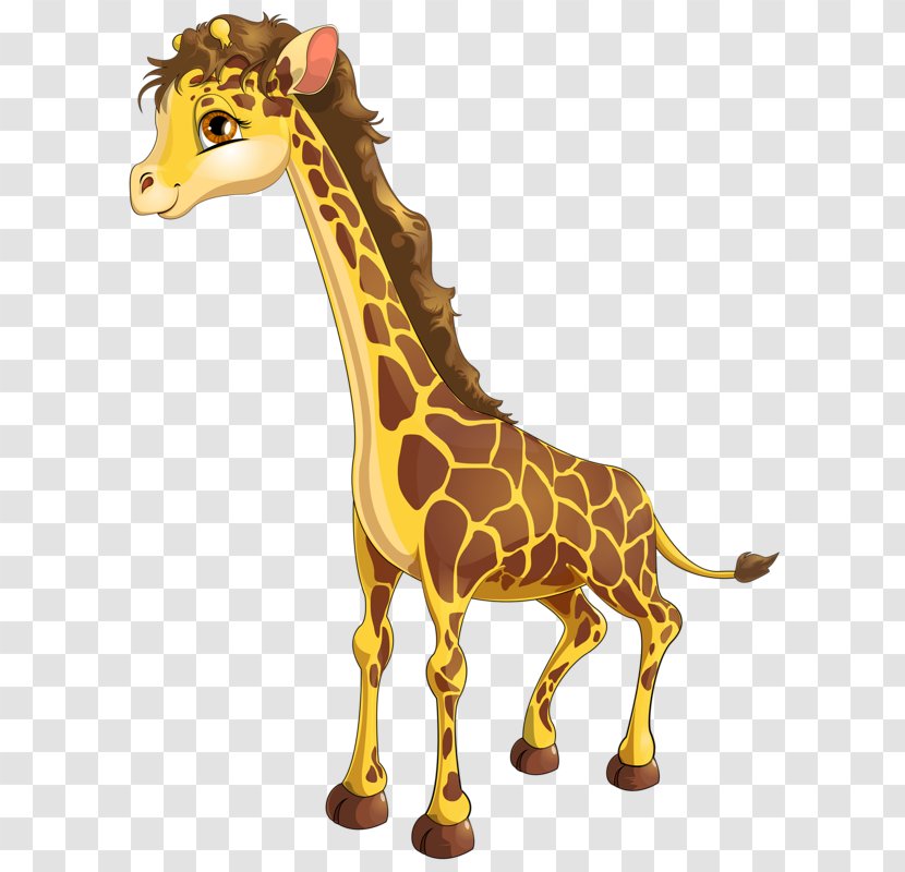 Northern Giraffe Stock Photography Drawing Illustration - Cute Transparent PNG