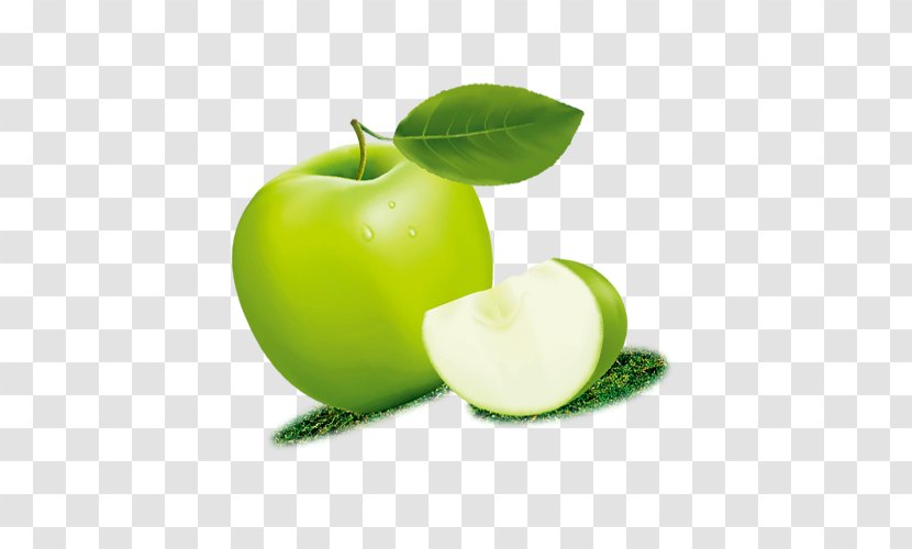 Granny Smith Cyan Green Apple - Photography Transparent PNG