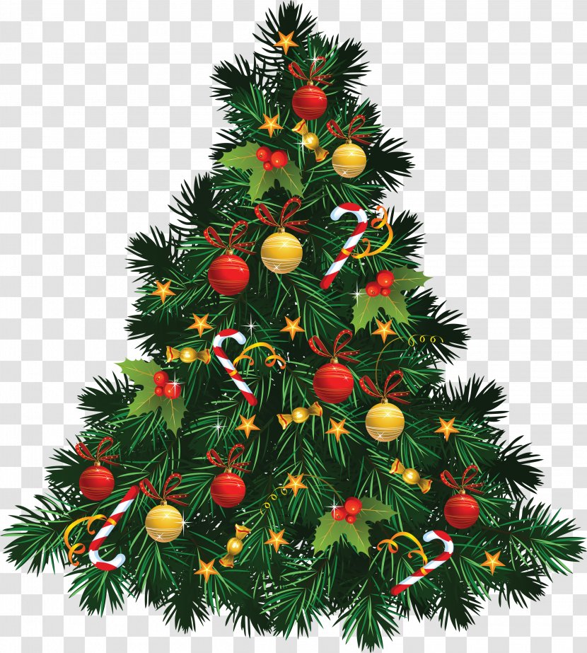 Christmas Tree Clip Art - Cultivation - Fir-tree Image Transparent PNG