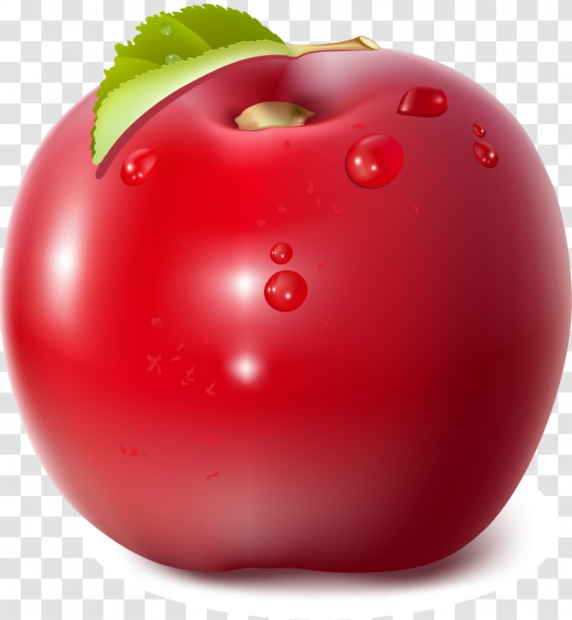 Apple Tomato Clip Art - Plant - Red Delicious Transparent PNG