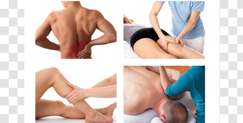 Hip Physical Therapy Massage First Rehab,Physiotherapy & Speech Centre Osteoarthritis - Heart - Watercolor Transparent PNG