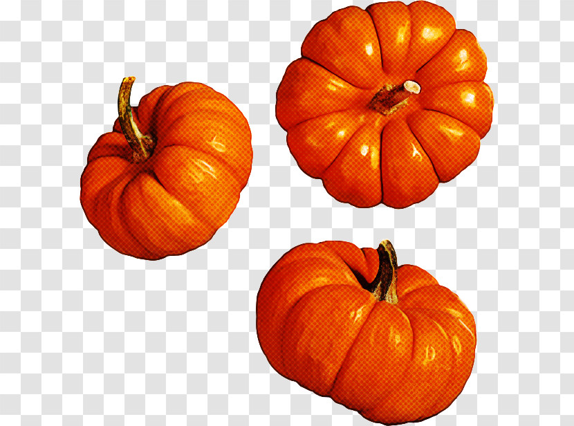 Pumpkin Transparent PNG