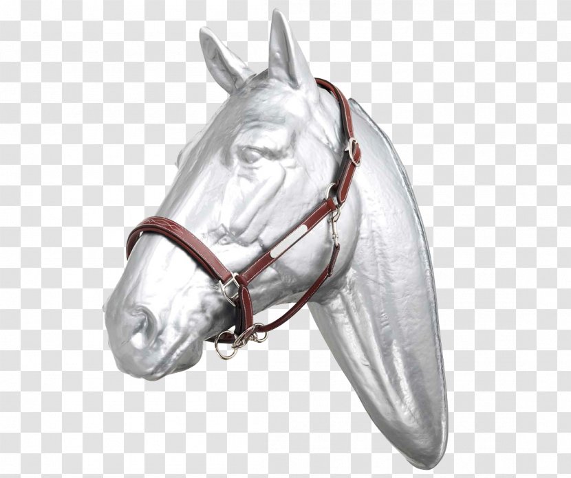 Horse Tack Bridle Halter Girth - Saddle Transparent PNG