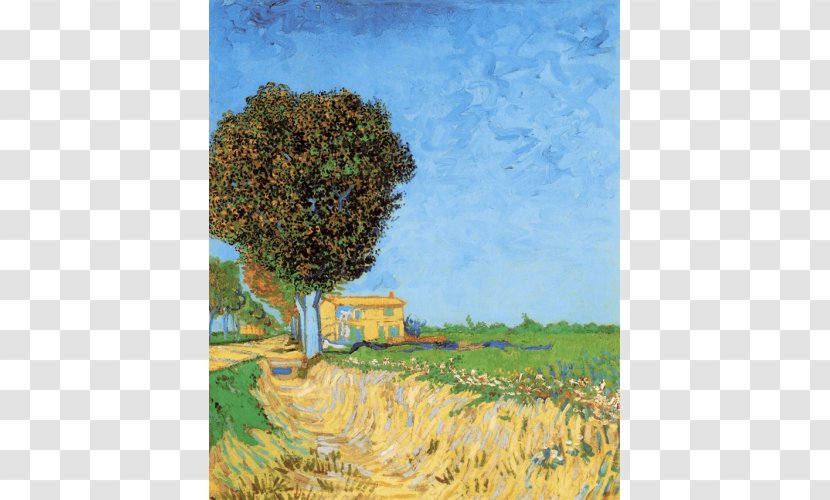 A Lane Near Arles Wheatfield With Crows The Painter Of Sunflowers Painting - Wheat Fields Transparent PNG