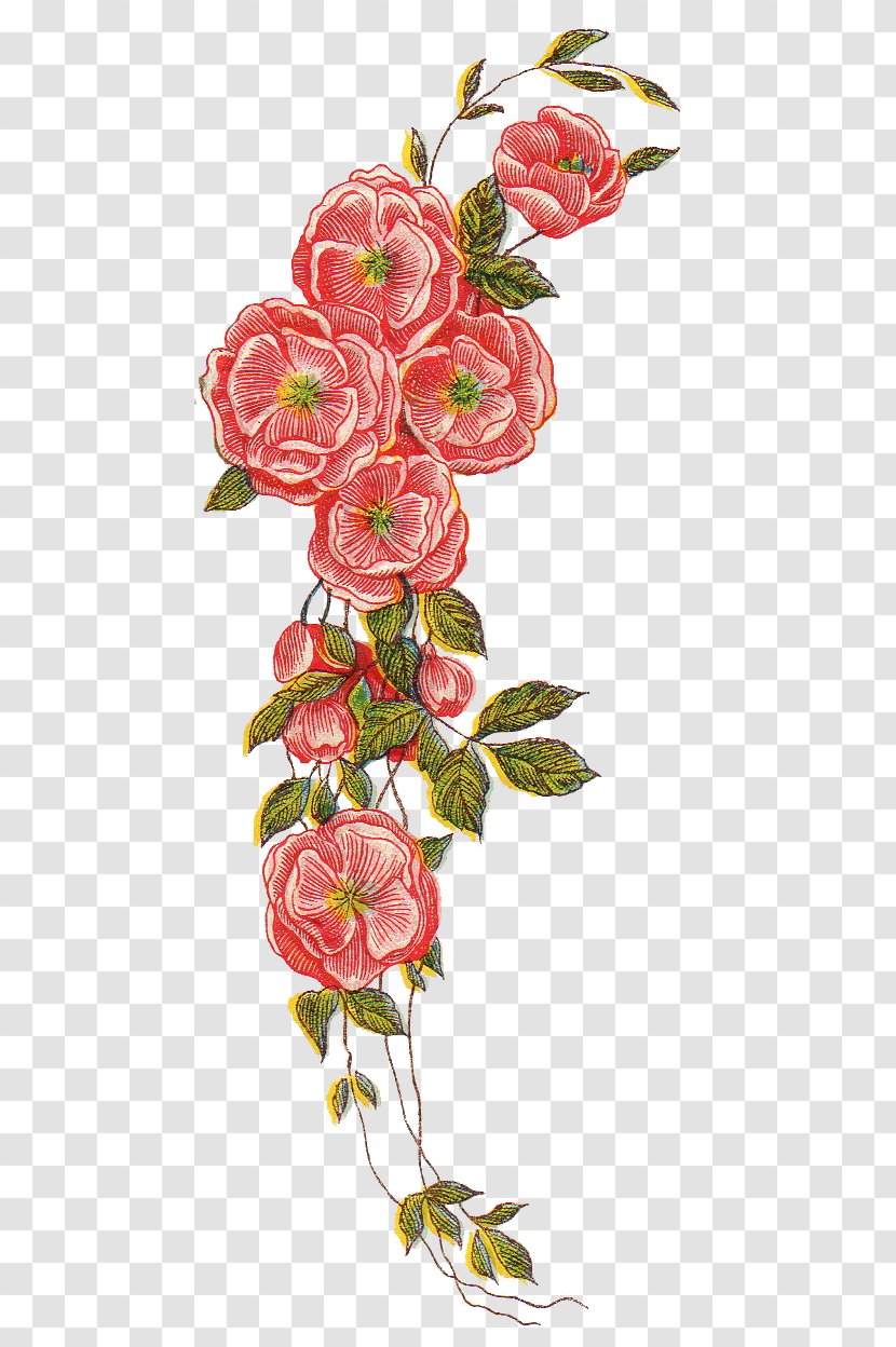 Flower Floral Design Clip Art - Flowering Plant - Retro Transparent PNG