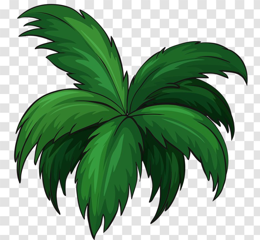 Shore Coconut Vector Graphics Beach Palm Trees - Green Plants Transparent PNG